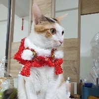 美玉