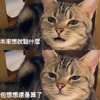 D.M