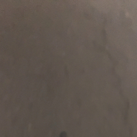 楊桃