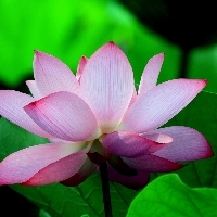 天