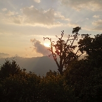顏色不分藍綠