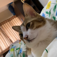 小婷兒