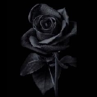 取消代議制,還政於民,還我真民權還我真民主