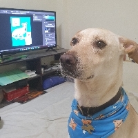Sandra