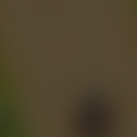 1111111111111