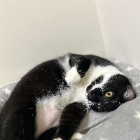 阿瑋