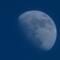 中共代言人邪惡藍白舔共黨