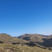 小綠