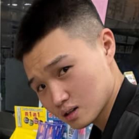 想插