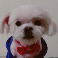 筱葳