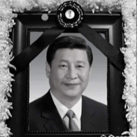 藍白賣台立委全家死光